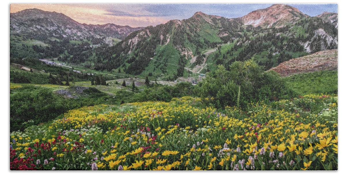 Utah; Landscape; Alta; Wasatch Mountains; Mount Baldy; Wildflower; Yellow; Green; Blue; Spring; Summer; Alpine; Meadow; Little Cottonwood Canyon Beach Towel featuring the photograph Storms Sunsets and Wildflowers by Brett Pelletier