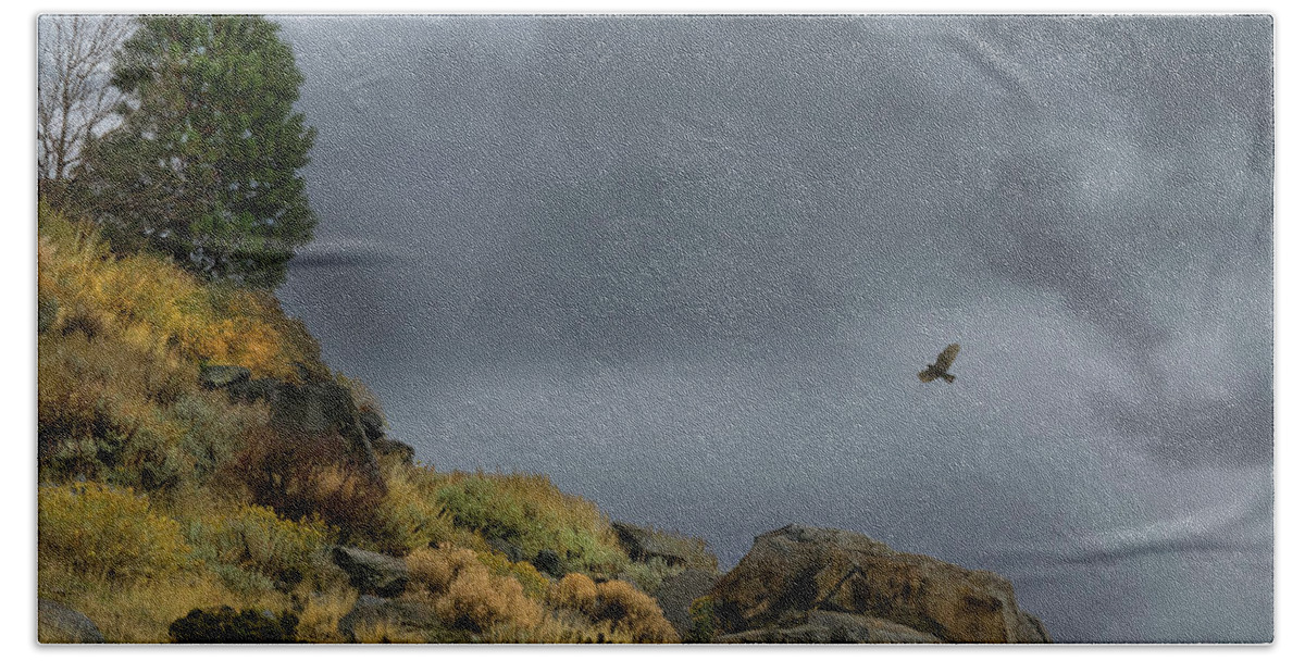 Hawk Beach Sheet featuring the photograph Stormy Flight by Frank Wilson