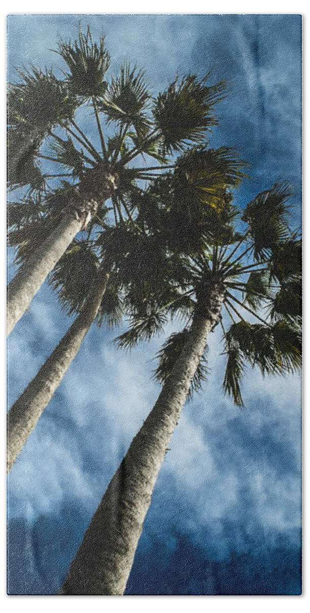 Palm Beach Towel featuring the photograph Stormy Palms 1 by David Smith