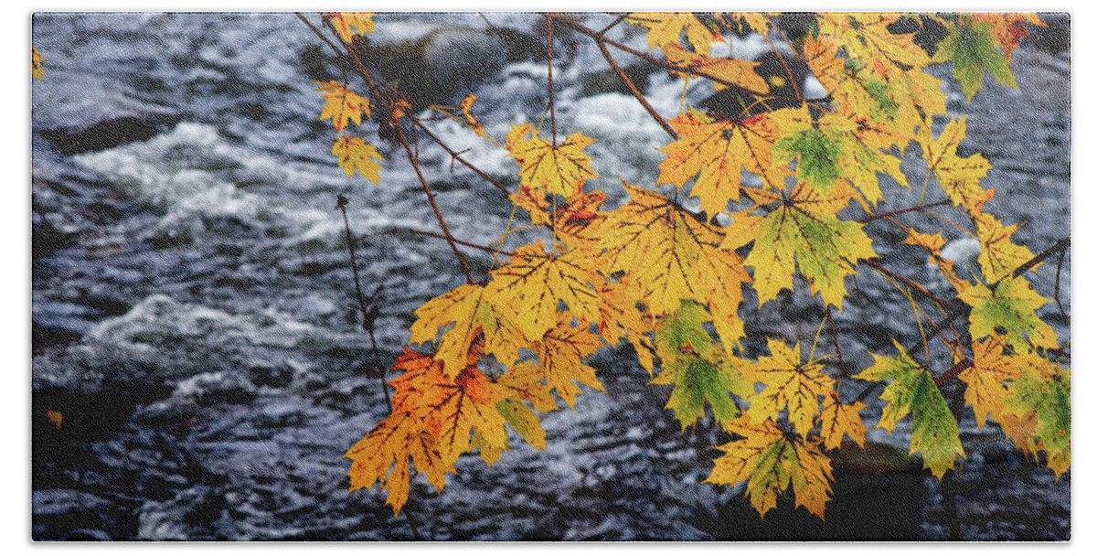 Landscape Beach Towel featuring the photograph Stream in Fall by Joe Shrader