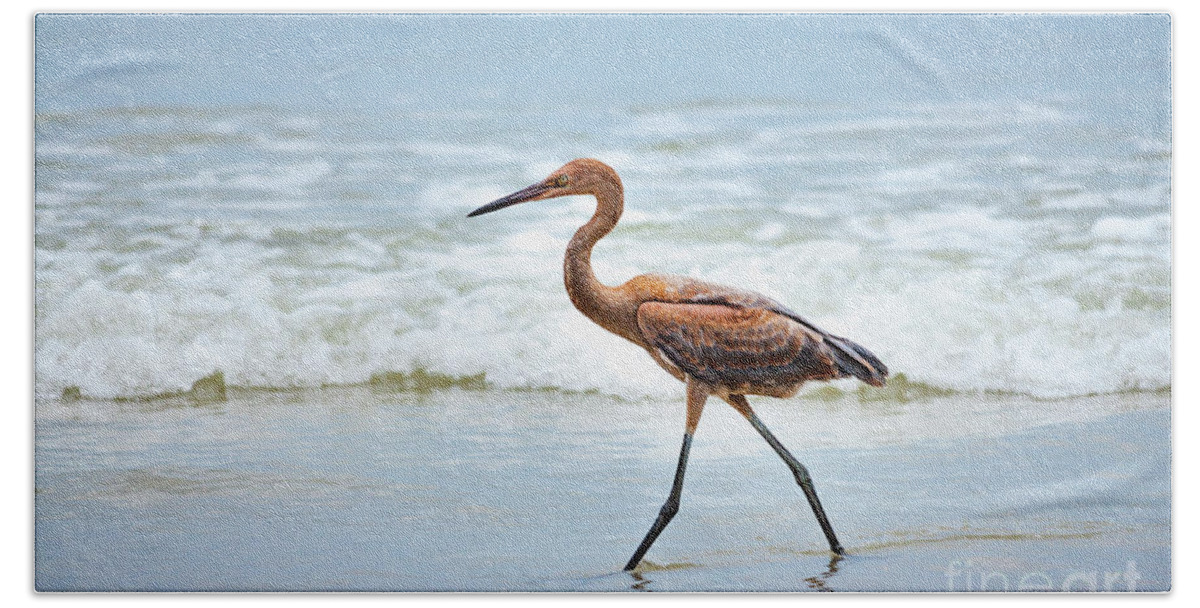 Florida Beach Towel featuring the photograph Strolling by Todd Blanchard