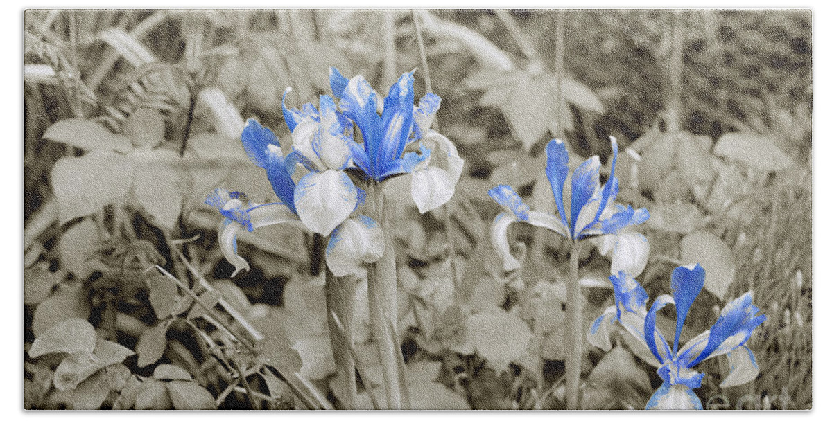 Irises In Blue Beach Towel featuring the photograph Study in Blue. Two. by Elena Perelman