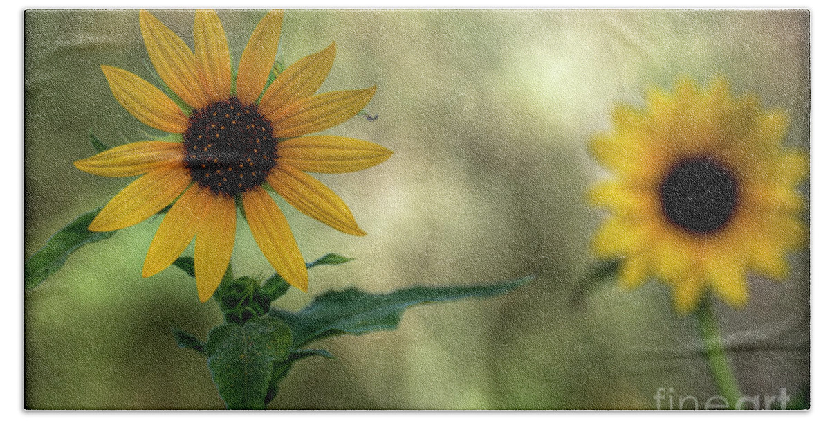 Yellow Sunflowers Beach Towel featuring the photograph Summer of Sunflowers by Saija Lehtonen