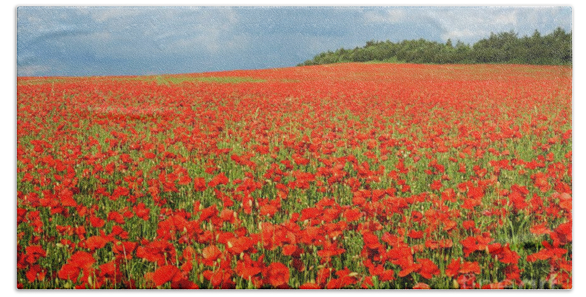 Landscape Beach Sheet featuring the photograph Summer Poppies in England by David Birchall