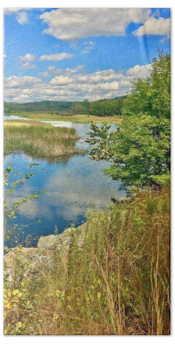 Landscape Beach Towel featuring the photograph Summer Reflections by Lisa Pearlman
