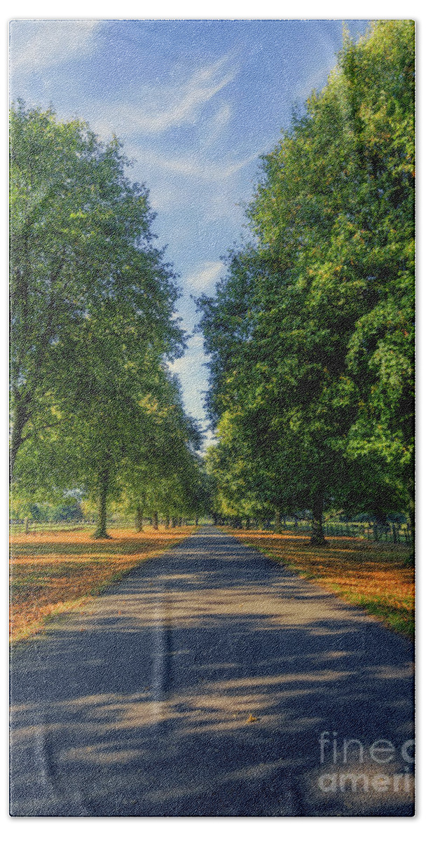 Road Beach Sheet featuring the photograph Summer Road by Ian Mitchell