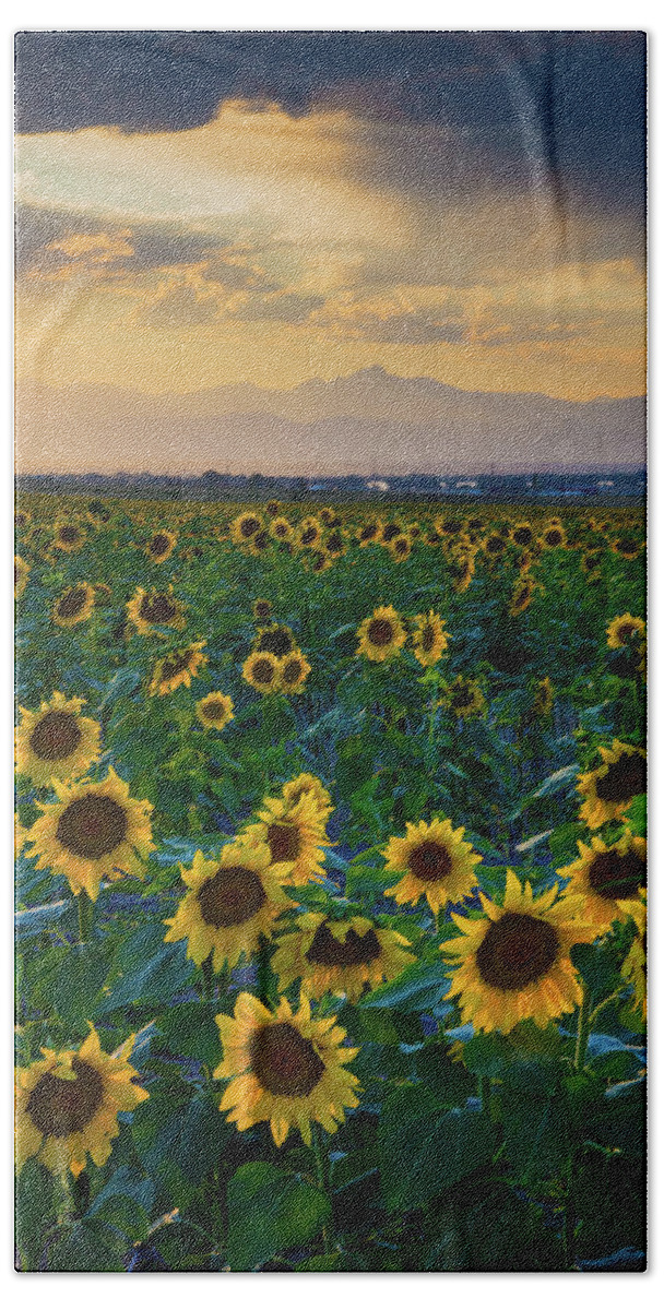 Colorado Beach Towel featuring the photograph Summer Skies and Sunflowers by John De Bord