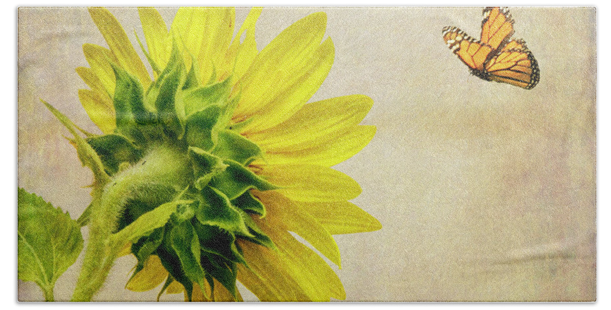 Sunflower Beach Sheet featuring the photograph Summer Sun by Cathy Kovarik