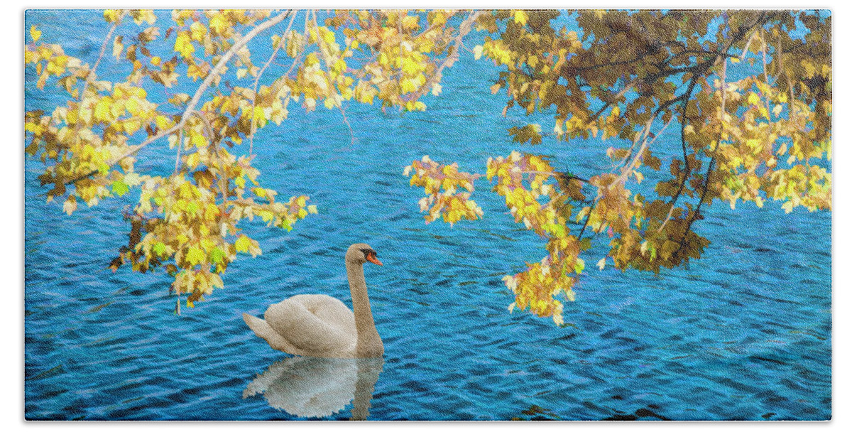 Pond Beach Towel featuring the photograph Summer's Swan Song by Cathy Kovarik