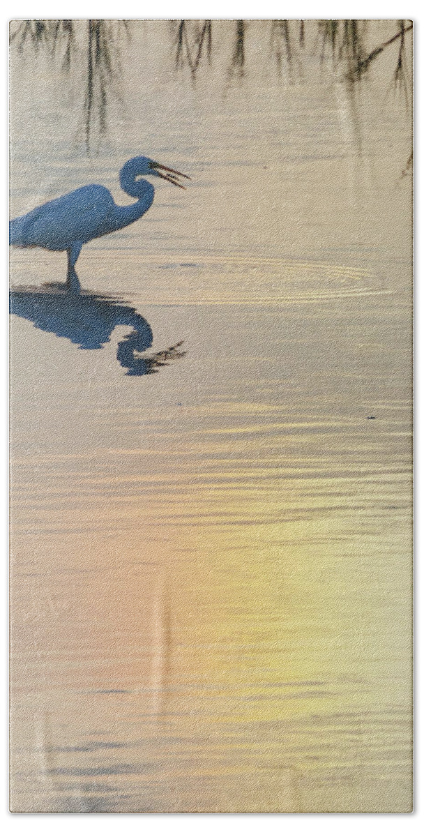 Kansas Beach Sheet featuring the photograph Sun Dog and Great Egret 4 by Rob Graham