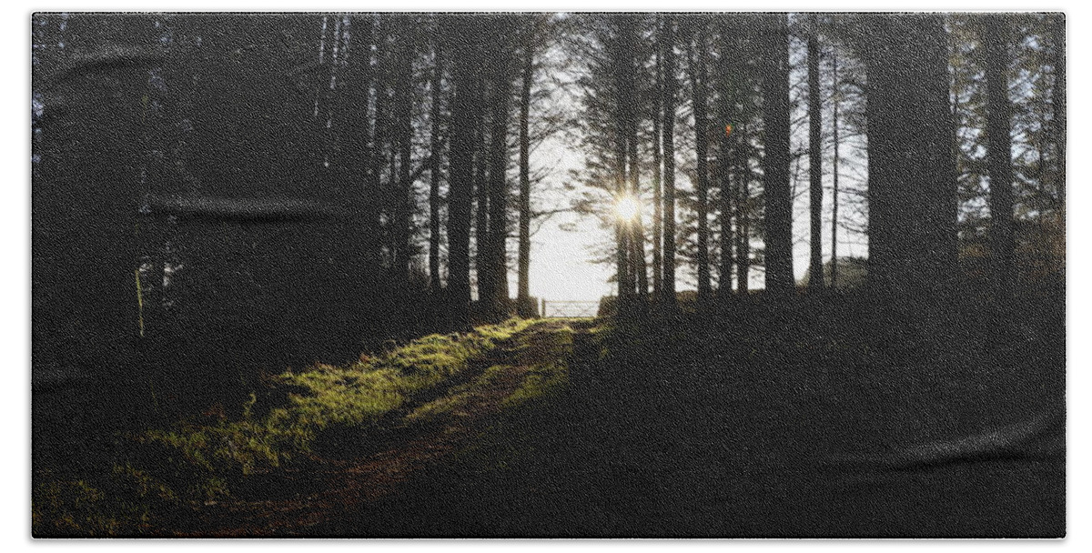 Sun Beach Towel featuring the photograph Sun glare in the dark forest by Lukasz Ryszka