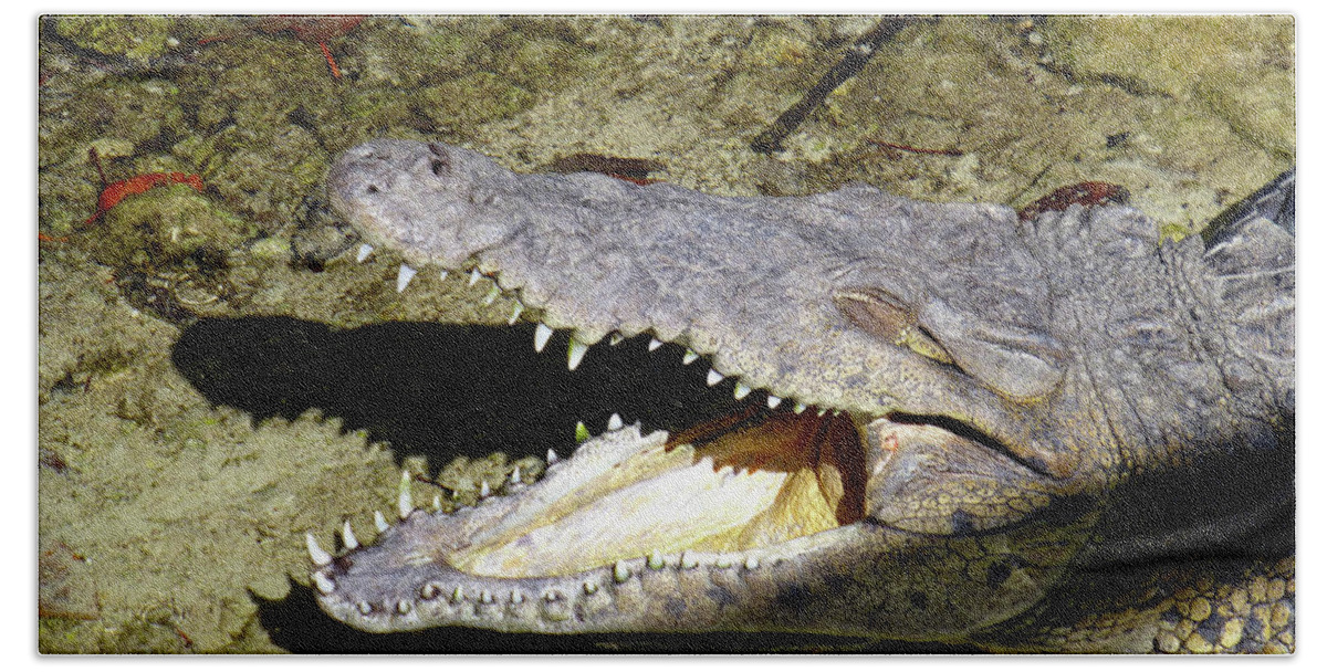 Crocodile Beach Sheet featuring the photograph Sunbathing croc by Francesca Mackenney