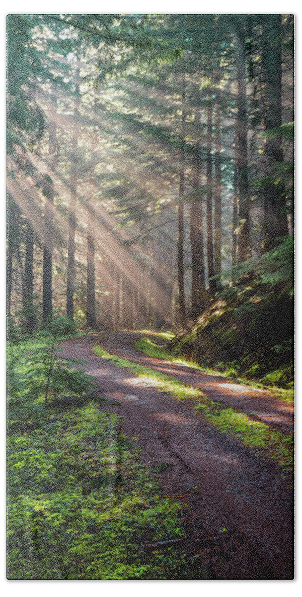 Landscape Beach Towel featuring the photograph Sunbeam in Trees portrait by Jason Brooks