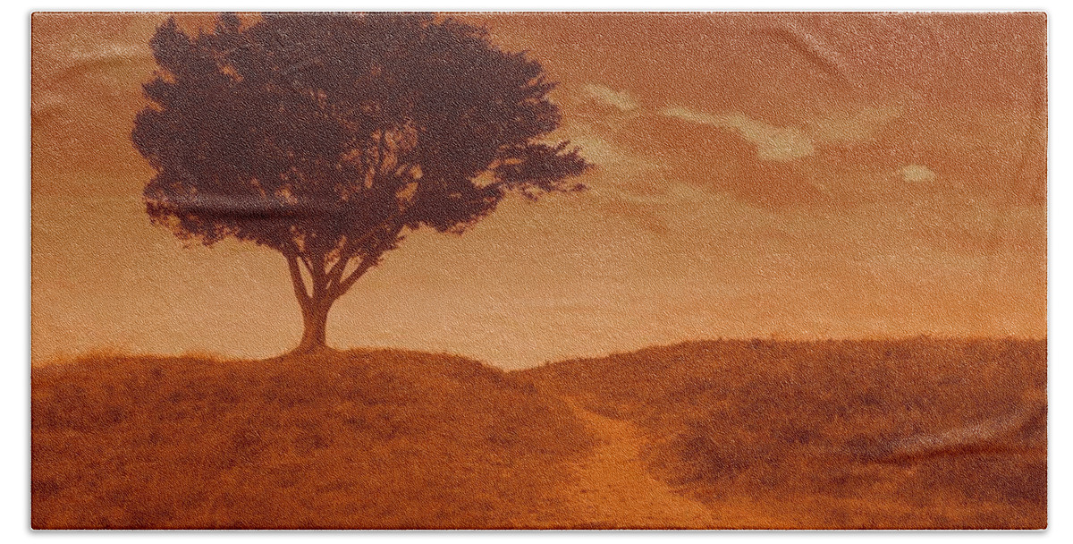 Landscape Beach Towel featuring the photograph Sundown Alone by Julie Lueders 
