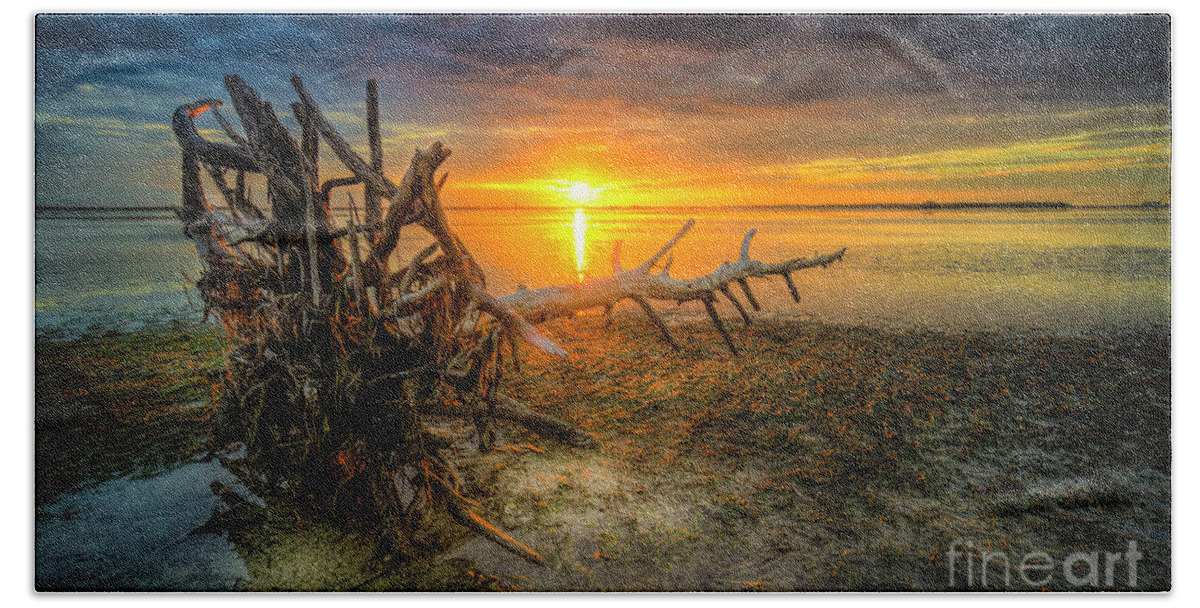 Driftwood Beach Towel featuring the photograph Sundrift by Marvin Spates