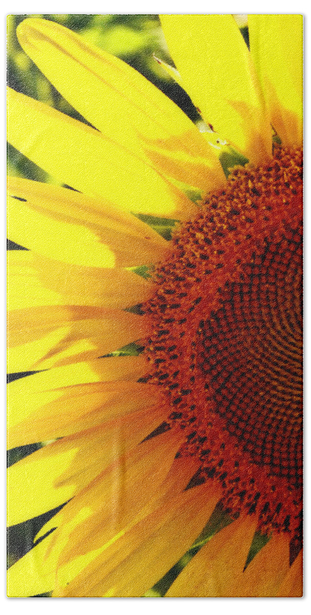 Flower Beach Towel featuring the photograph Sunflower 27 by Marty Koch