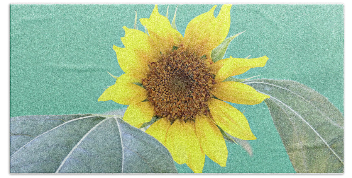 Sunflowers Beach Towel featuring the photograph Sunflower In The Summer Time by Trina Ansel