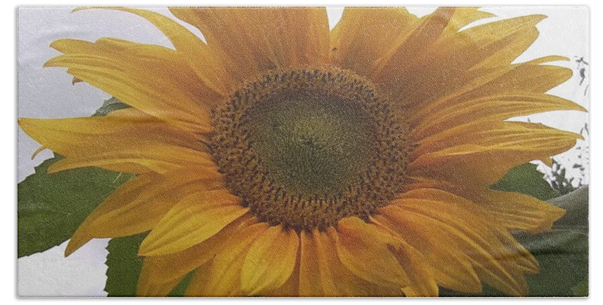 Sunflower Beach Sheet featuring the photograph Sunflower by Julia Woodman