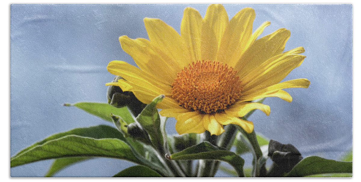 Sunflower Beach Sheet featuring the photograph Sunflower by Saija Lehtonen