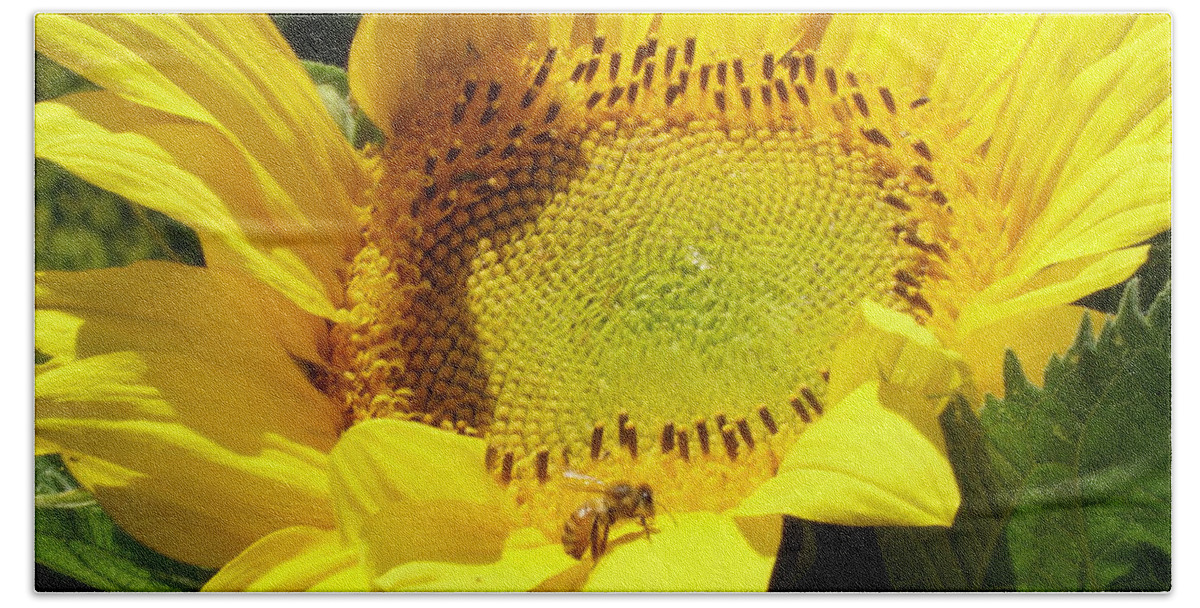 Sunflower Beach Sheet featuring the photograph Sunflower With Honeybee by Stephen Daddona