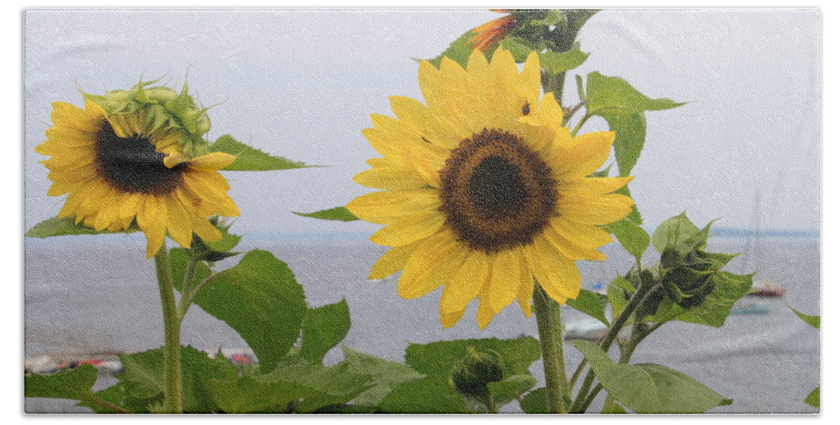 Wildflower Beach Towel featuring the photograph Sunflowers by the Ocean by John Burk