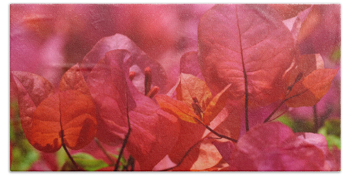 Pink Beach Towel featuring the photograph Sunlit Pink-orange Bougainvillea by Rona Black