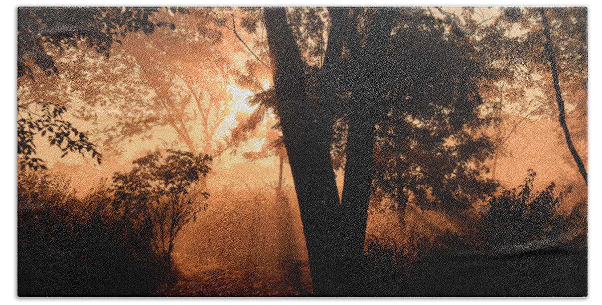 Illinois Beach Sheet featuring the photograph Sunrise in the Marsh 3 by Joni Eskridge