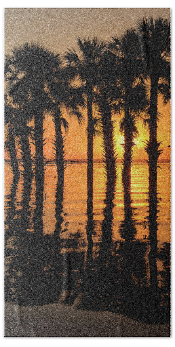 Central Florida Beach Towel featuring the photograph Sunrise Reflections by Stefan Mazzola