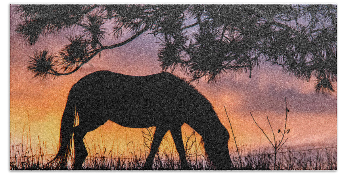 Animals Beach Sheet featuring the photograph Sunrise Silhouette by Dawn Key