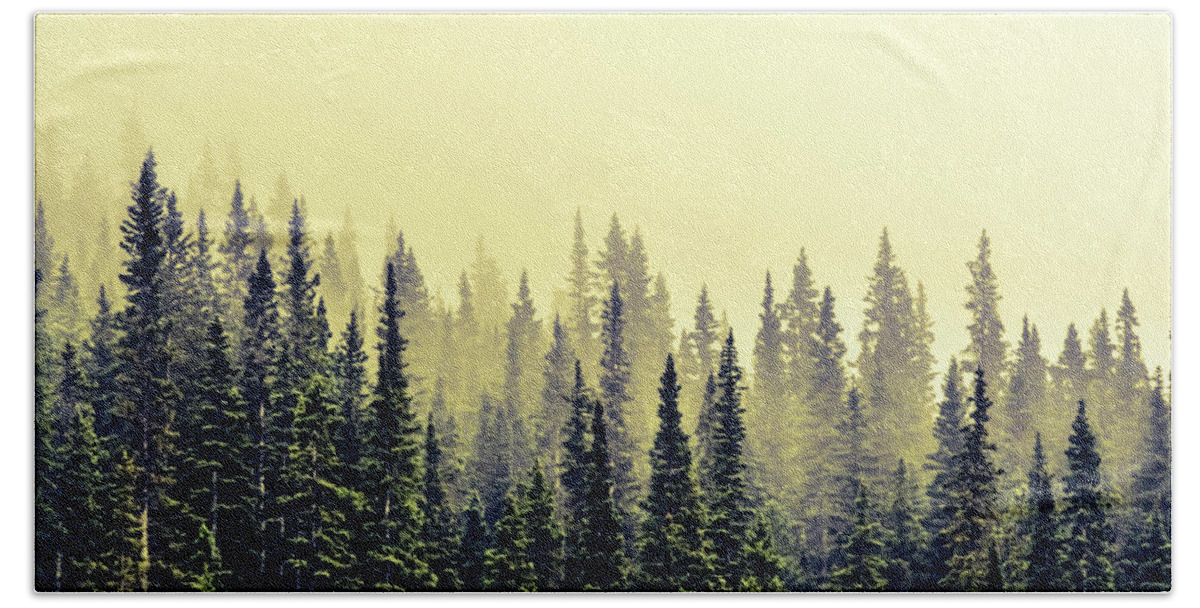 Pine Trees Beach Sheet featuring the photograph Sunrise Through The Pines by Karl Anderson