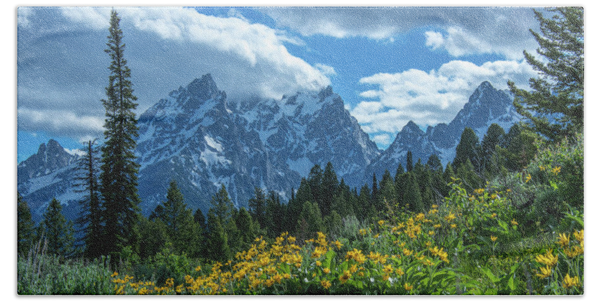 Grand Teton National Park Beach Towel featuring the photograph Sunshine On The Wildflowers by Yeates Photography