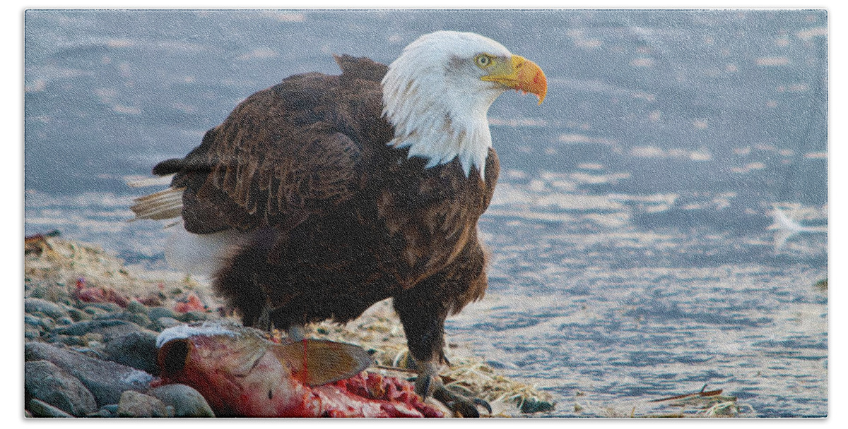 Bald Eagle Beach Towel featuring the photograph Sushi by David F Hunter