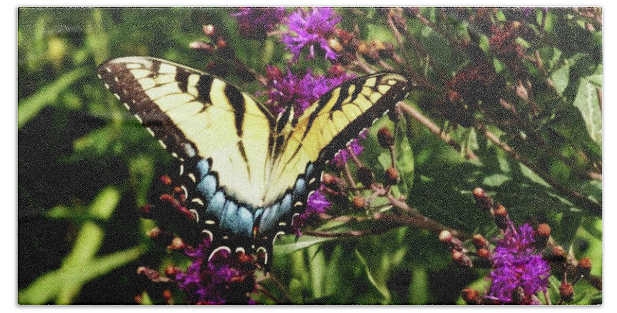 Butterfly Prints Beach Sheet featuring the photograph Swallowtail on Butterfly Weed by J L Zarek
