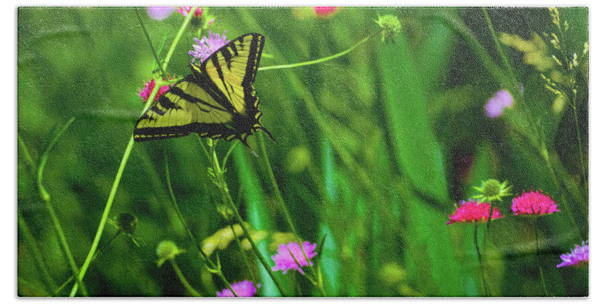 Butterfly Beach Sheet featuring the photograph Swallowtail Butterfly by Steph Gabler