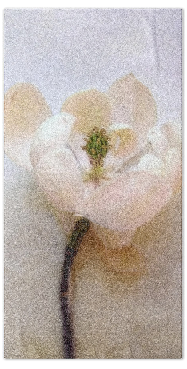 Magnolia Beach Sheet featuring the photograph Sweet Bay Magnolia Bloom by Louise Kumpf