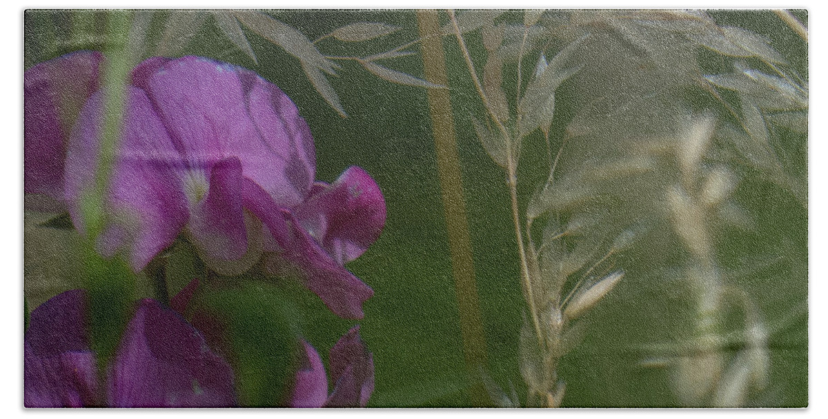  Garavetto Beach Towel featuring the photograph Sweet Pea 1 by Christy Garavetto