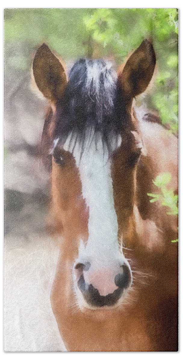 Horses Beach Towel featuring the photograph Sweet Thing by Teresa Wilson