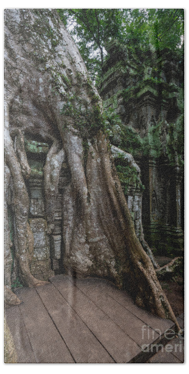 Cambodia Beach Towel featuring the photograph Ta Prohm The Jungle Reclaims by Mike Reid