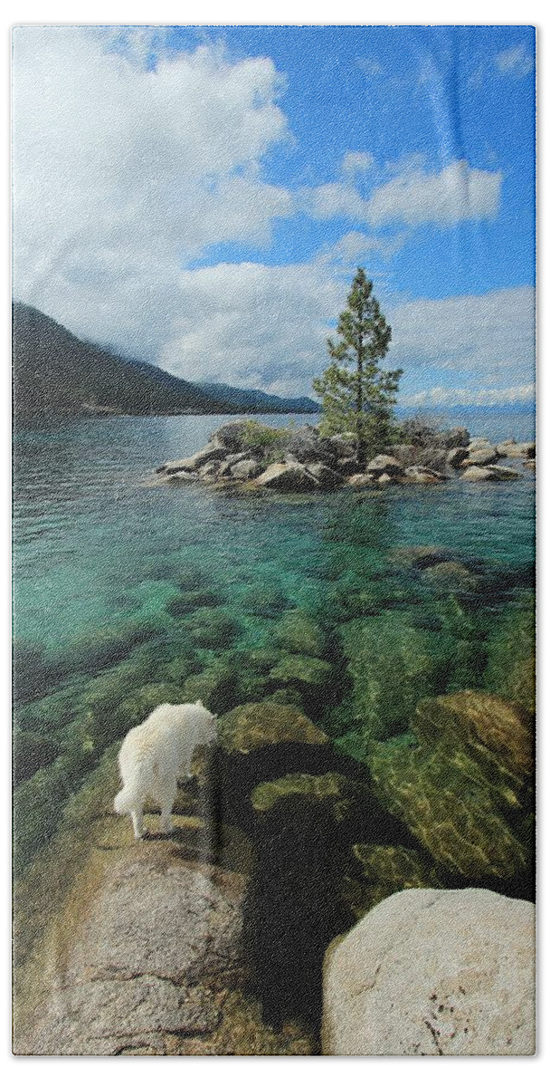 Lake Tahoe Beach Towel featuring the photograph Tahoe Tap ...Nectar of The Gods by Sean Sarsfield