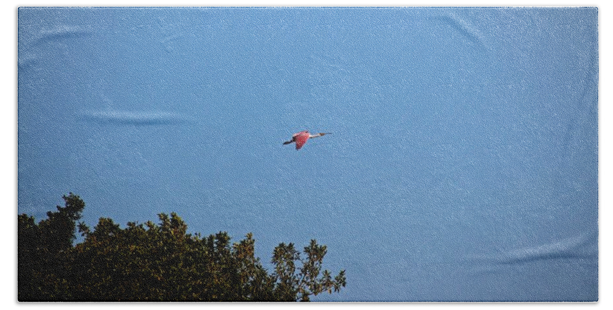 Pink Beach Towel featuring the photograph Taking Flight by Michiale Schneider