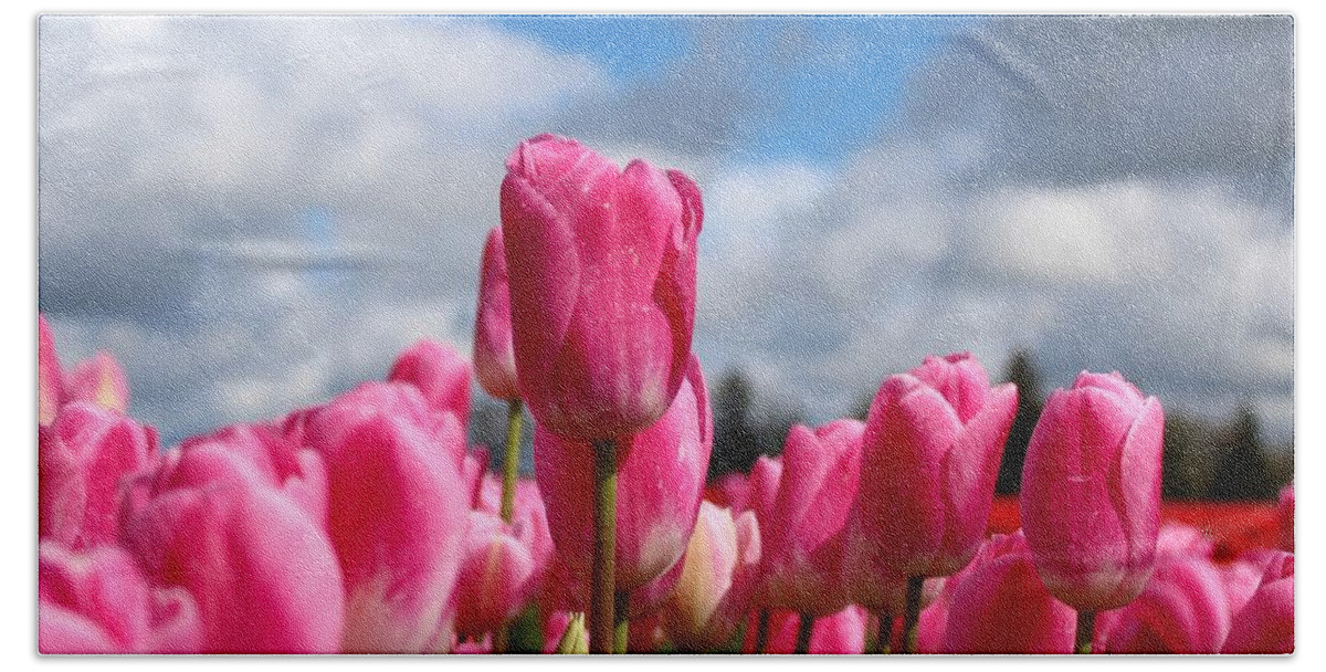 Tulip Beach Sheet featuring the photograph Tall Standing Tulip by Brian Eberly