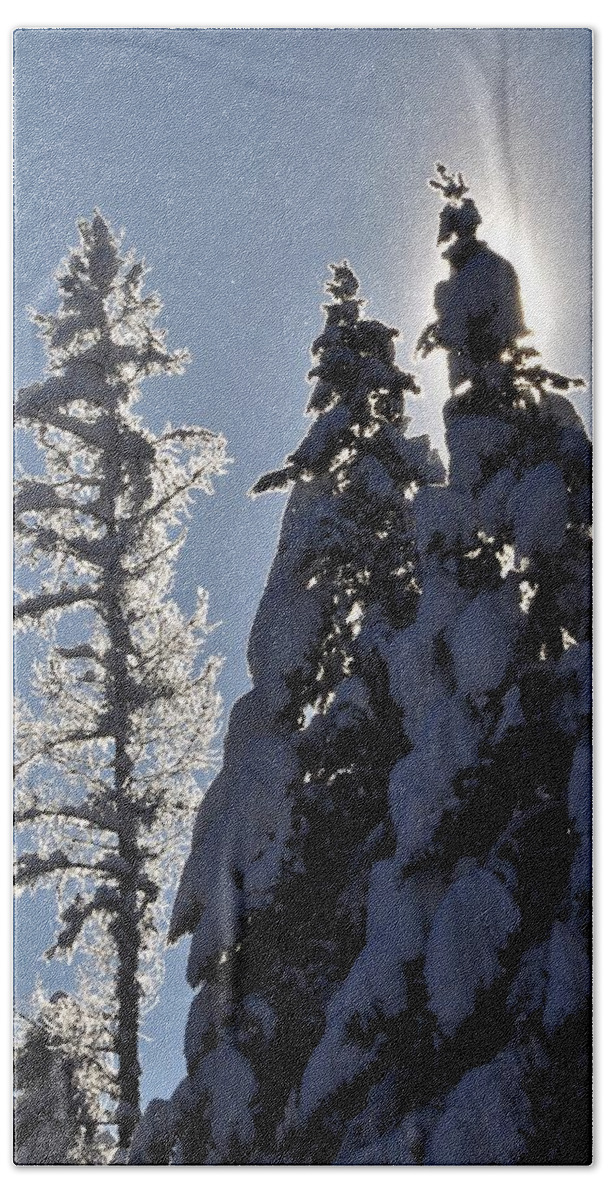 Reflections Beach Towel featuring the photograph Tall trees and Tall Snow by Mike Helland
