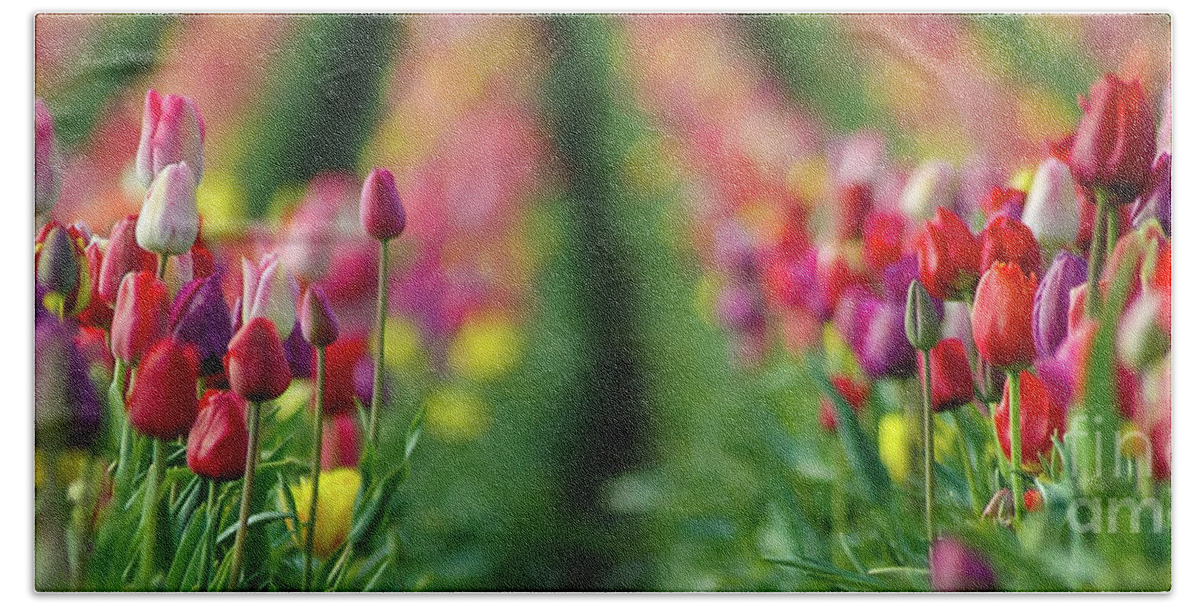 Nick Beach Sheet featuring the photograph Tapestry Of Tulips by Nick Boren