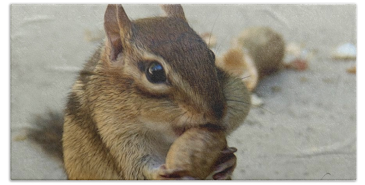 Chipmunk Beach Towel featuring the photograph Whiskers-licking Good by Yvonne Wright