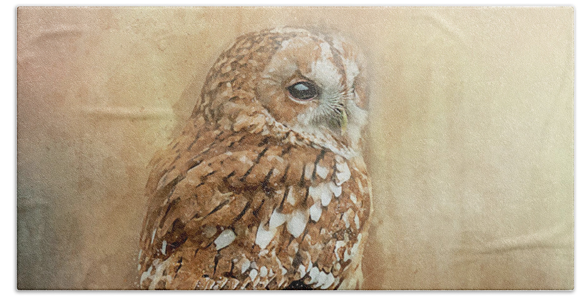 Tawny Owl Beach Towel featuring the photograph Tawny Owl by Brian Tarr