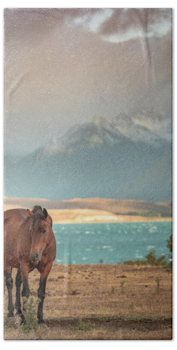 New Zealand Beach Sheet featuring the photograph Tekapo Horse by Chris Cousins