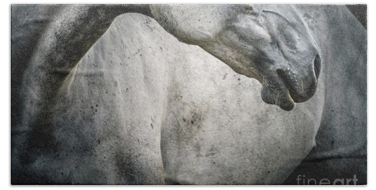 Animal Beach Towel featuring the photograph Tender portrait of white horse head close up by Dimitar Hristov