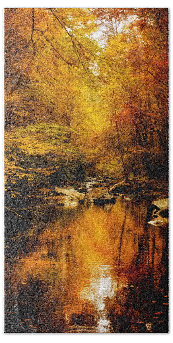 Mountains Beach Towel featuring the photograph Tennessee Mountains Autumn by Greg and Chrystal Mimbs