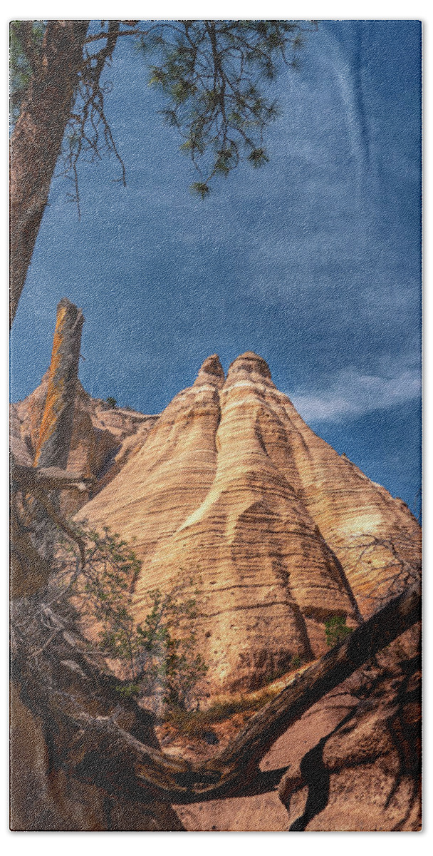 Beautiful Beach Towel featuring the photograph Tent Rock and Ponderosa Pine by Robert FERD Frank
