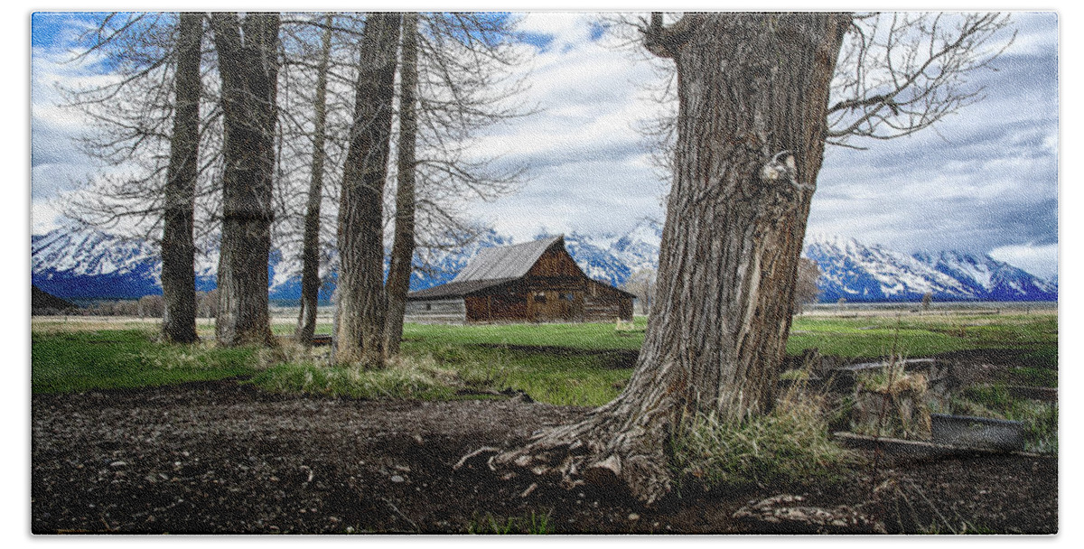 Tetons Beach Sheet featuring the photograph View From Mormon Row by Scott Read